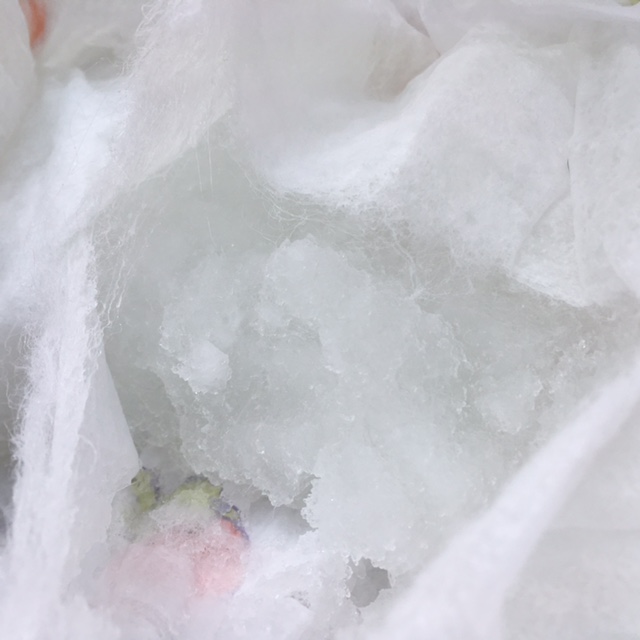 Keep Your Plants Watered With Diapers Frugally Blonde