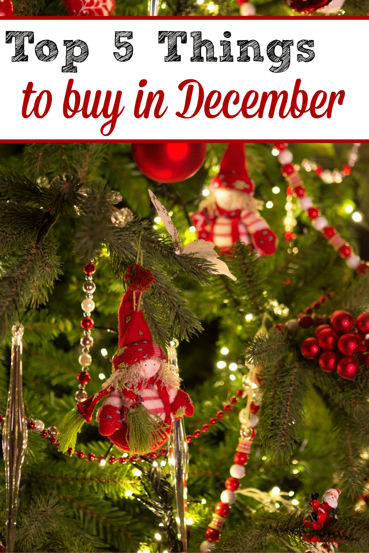 Top 5 Things To Buy in December Frugally Blonde