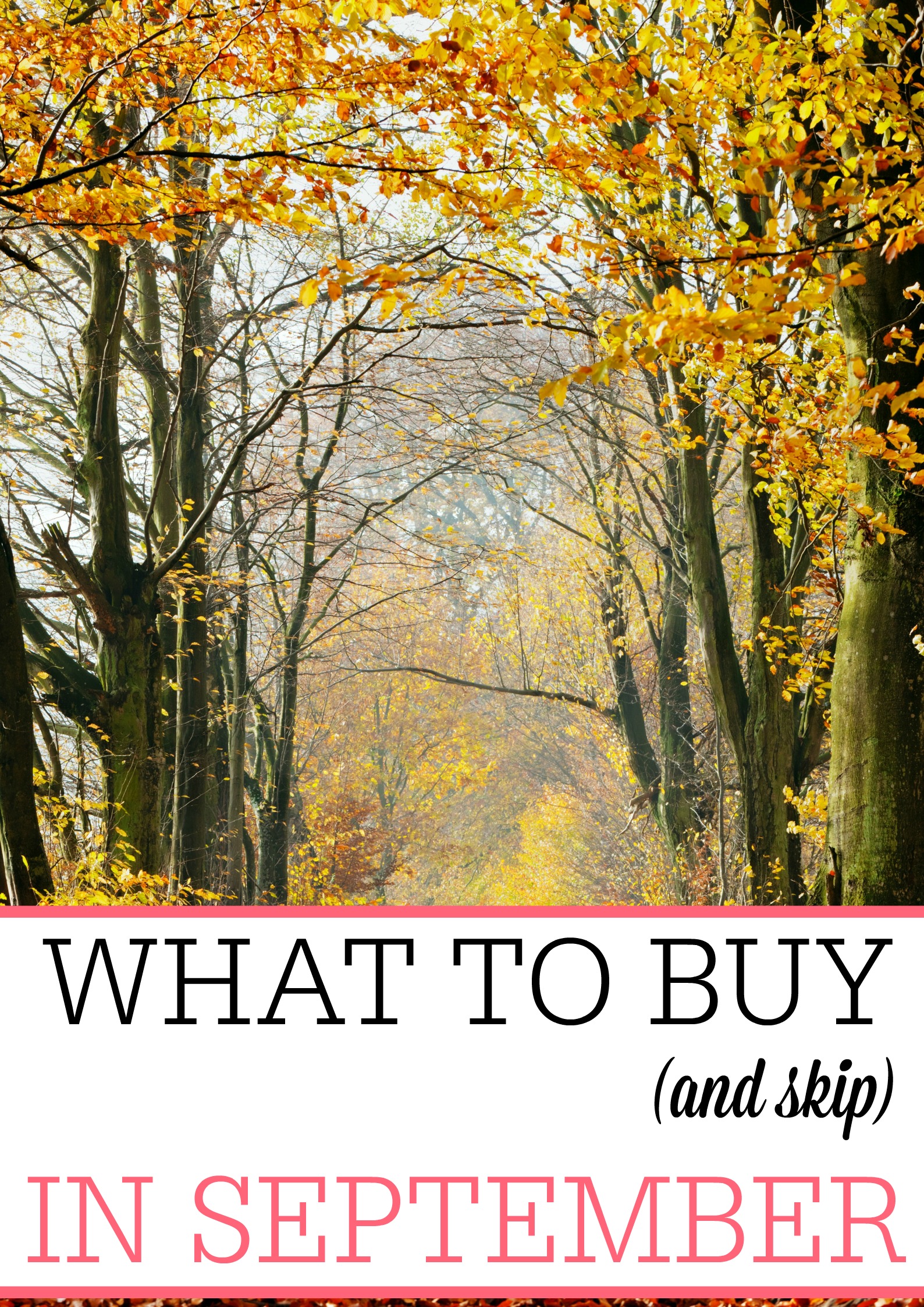 Trying to save more money? Check out what to buy (and skip) in September to really save. It's an easy way to save more money without much work.