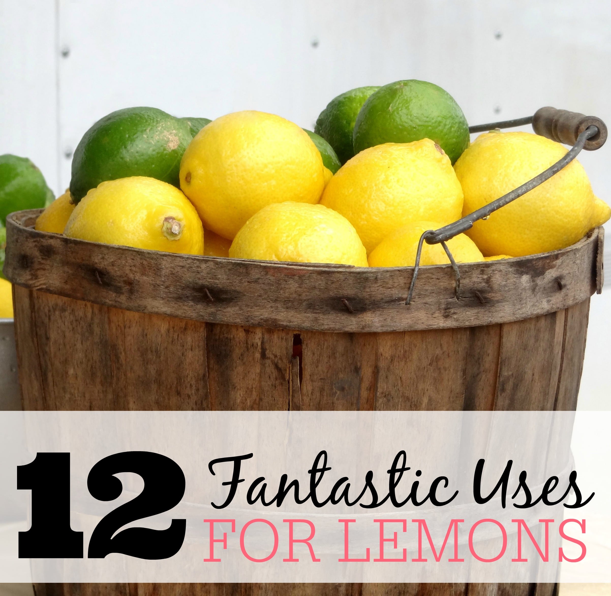 12 Fantastic Uses for Lemons Frugally Blonde