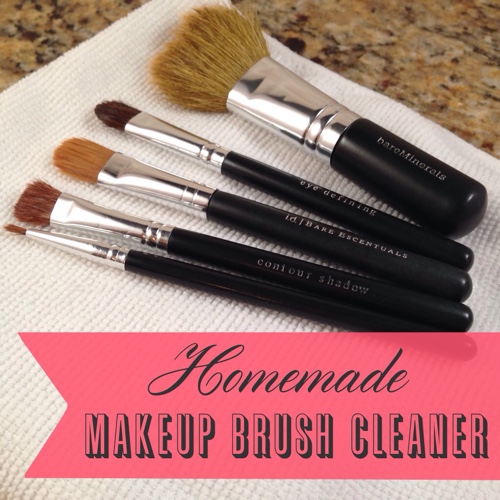 Homemade Makeup Brush Cleaner - Frugally Blonde