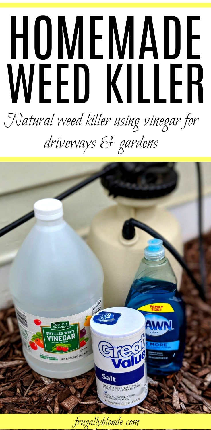 Cheap & Easy DIY Weed Killer Frugally Blonde