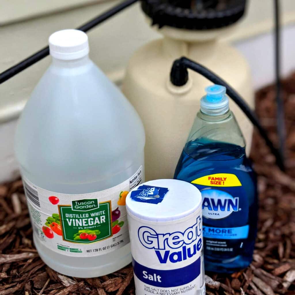 weed killer with vinegar