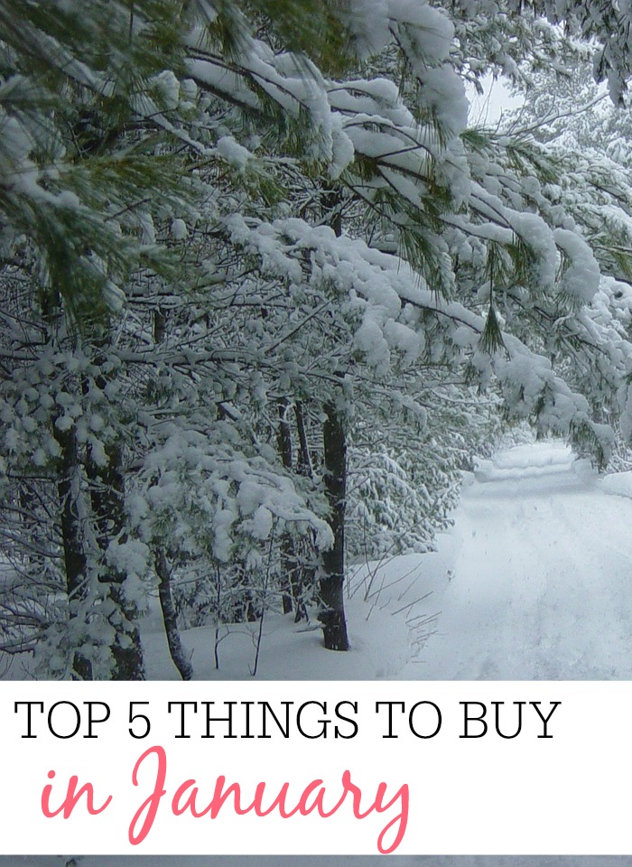 Top 5 Things To Buy in January Frugally Blonde