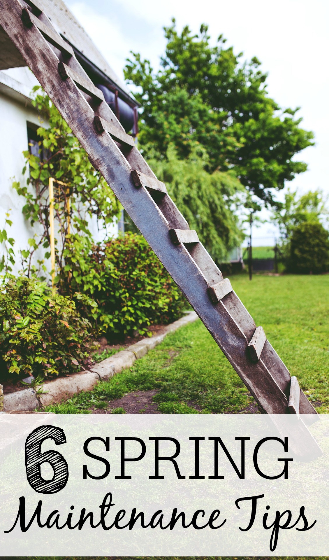 Spring Maintenance Workers