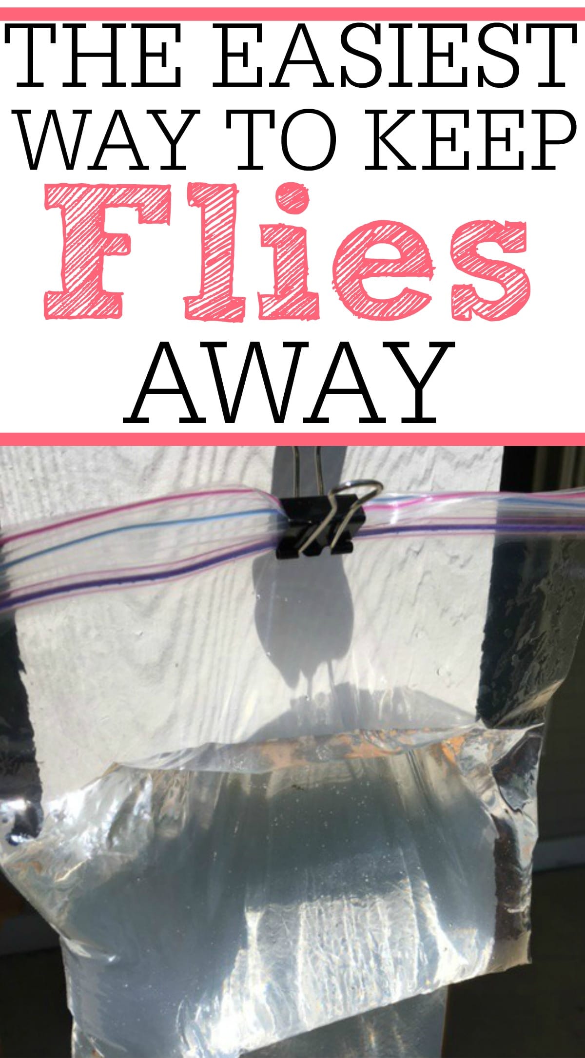 The Easiest Way To Keep Flies Away Frugally Blonde