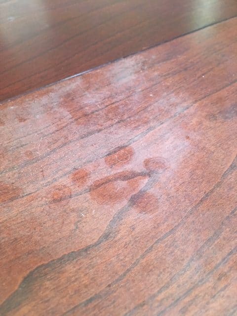 How To Remove Heat Stains From Wood Frugally Blonde Heat Stain On Wood Furniture