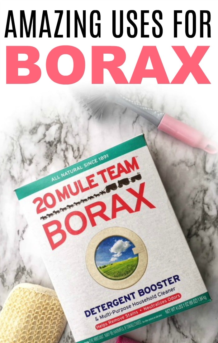 Amazing Uses For Borax