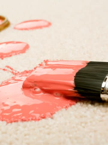 paint in carpet