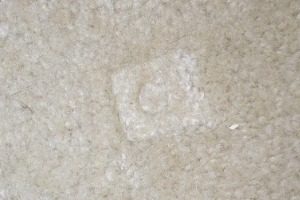 remove carpet dents