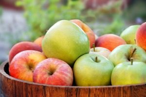 things to buy in September