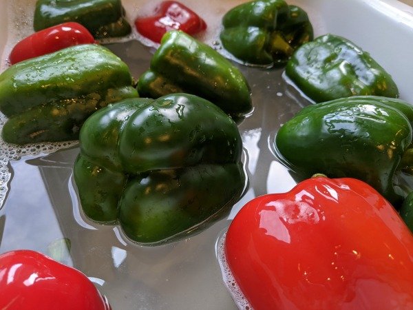 cleaning peppers in vinegar