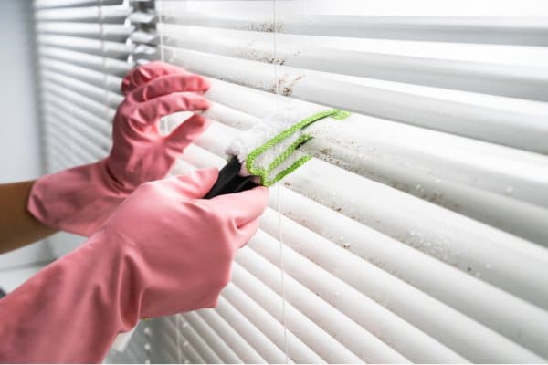 clean window blinds