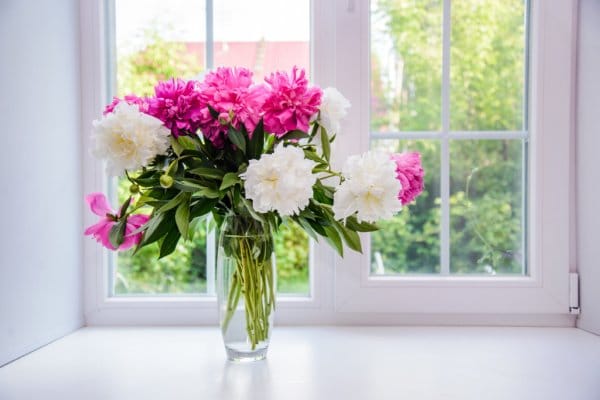 flowers as a christmas gift